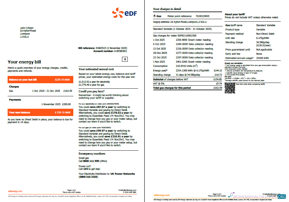 download download France EDF utility bill template in Word and PDF formats, 2 pages PDF template PDF template